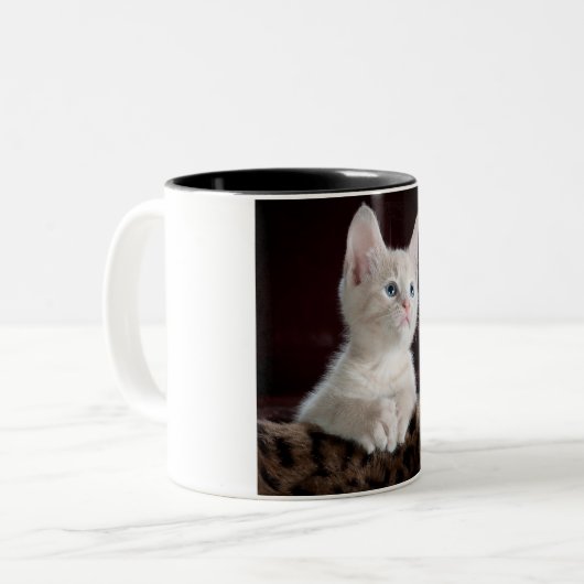 Kitten twee afgezwakte koffie mok. tweekleurige koffiemok (Voorkant links)