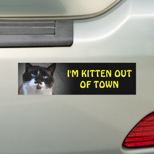 Kitten uit de stad RV Vakantie Bumpersticker (Op auto)