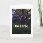 KITTEN UP A TREE WENST DAT JE NIET EEN JAAR OUDER  KAART (Voorkant)