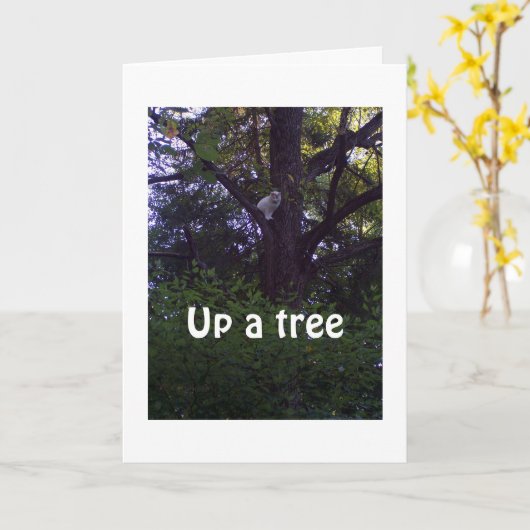 KITTEN UP A TREE WENST DAT JE NIET EEN JAAR OUDER  KAART (Gele Bloem)