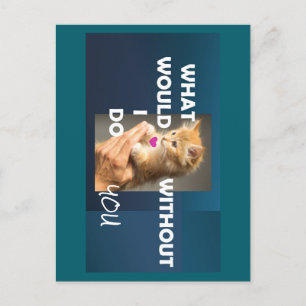Kitten vastgehouden door een handtekst wat zou ik  briefkaart