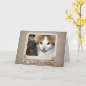 Kitten Verjaardag Kaart (Gele Bloem)