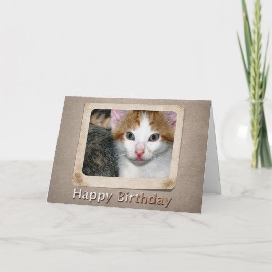 Kitten Verjaardag Kaart (Voorkant)