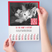 Kitten Verkoop Flyer (Hand)