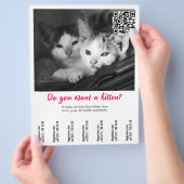 Kitten Verkoop Flyer (Hand)