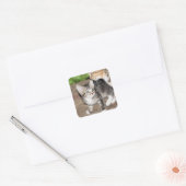 Kitten Vierkante Sticker (Envelop)