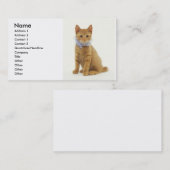 Kitten Visitekaartje (Voorkant / Achterkant)