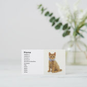 Kitten Visitekaartje (Staand voorkant)