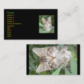 Kitten Visitekaartjes (Voorkant / Achterkant)