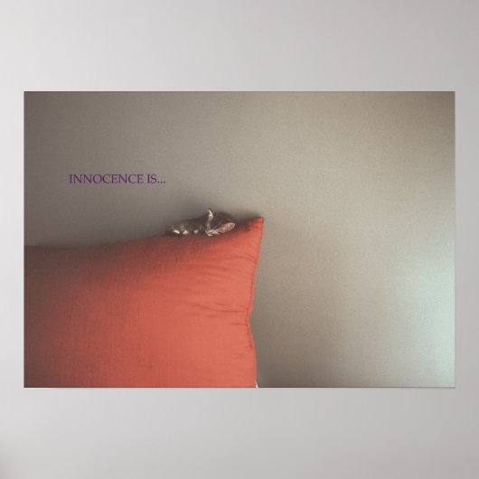 Kitten voor vrede poster (Voorkant)