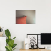 Kitten voor vrede poster (Thuiskantoor)