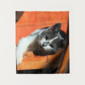 Kitten Wandkleed (Voorkant)