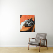 Kitten Wandkleed (In situ)