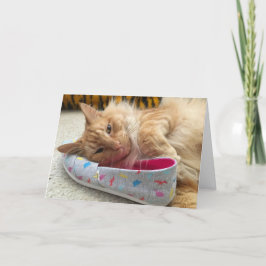 Kitten wenskaart #3 kaart