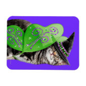 Kitten Witch Fairy Magneet (Horizontaal)