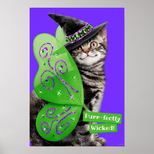 Kitten Witch Fairy Poster (Voorkant)