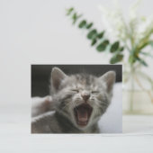 Kitten Yawning Postcard Briefkaart (Staand voorkant)