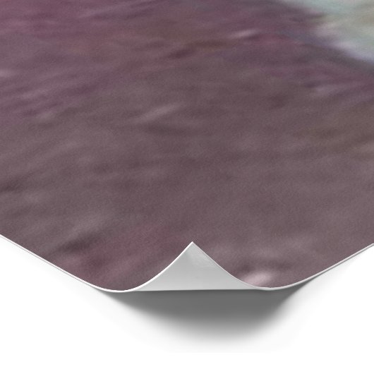 Kitten Zes Weken Poster (Hoek)