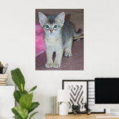 Kitten Zes Weken Poster (Thuiskantoor)