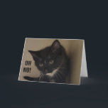 KITTEN ZO BLIJ OM TE ZEGGEN "HAPPY 21ST BIRTHDAY" KAART<br><div class="desc">BEDANK JE voor het stoppen met een van mijn acht winkels!</div>