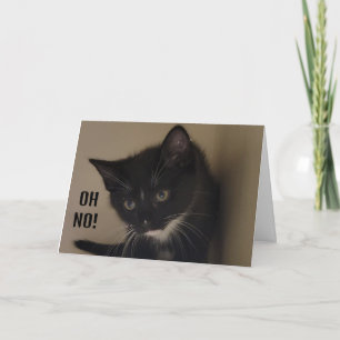 KITTEN ZO BLIJ OM TE ZEGGEN "HAPPY 21ST BIRTHDAY" KAART