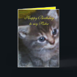 KITTEN, ZUSTER VERJAARDAG KAART<br><div class="desc">Een schattige verjaardagskaart voor iedereen die van zijn zus houdt.</div>