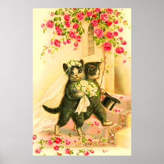 kittenbruid en groom poster (Voorkant)