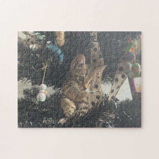 Kittenfoto Dier Huisdier Kat Legpuzzel (Horizontaal)