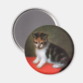 Kittenmagneet:  kunst van George Stubbs Magneet (Voorkant / Achterkant)