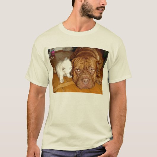 kittenpels van asca boxer t-shirt (Voorkant)