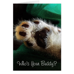 Kittenpootfoto met 'Thinking of You' tekst, blanco