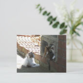 Kittens 050-postkaart briefkaart (Staand voorkant)