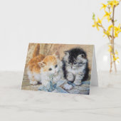 Kittens, 1893 kaart (Gele Bloem)