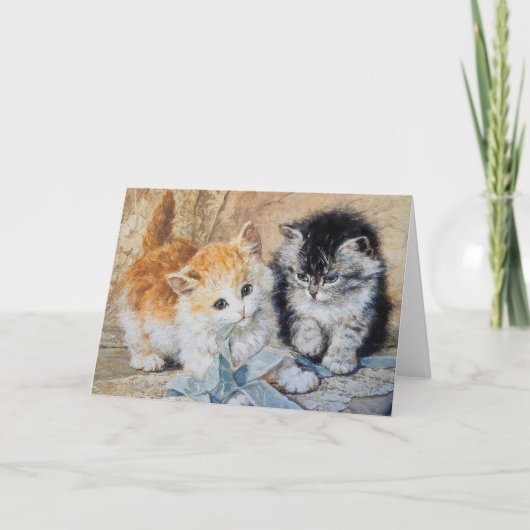 Kittens, 1893 kaart (Voorkant)