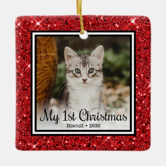 Kittens 1e Kerstmis Keramisch Ornament (Voorkant)