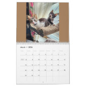 Kittens! 2024 My Feral Lady kitten kalender (Mar 2026)