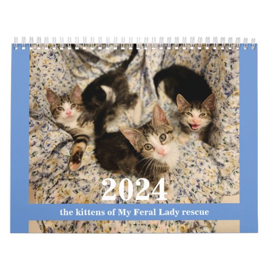Kittens! 2024 My Feral Lady kitten kalender (Hoes)