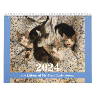 Kittens! 2024 My Feral Lady kitten kalender