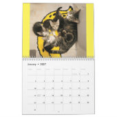 Kittens! 2024 My Feral Lady kitten kalender (Jan 2027)