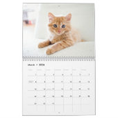 Kittens 2026 Calendar Kalender (Mar 2026)