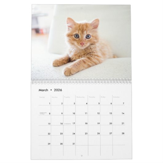 Kittens 2026 Calendar Kalender (Mar 2026)
