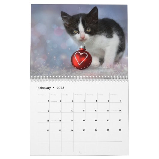 Kittens 2026 Calendar Kalender (Feb 2026)