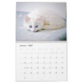 Kittens 2026 Calendar Kalender (Jan 2027)