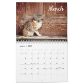 Kittens 2026 Kalender (Mar 2027)