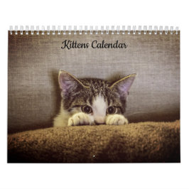 Kittens 2026 Kalender