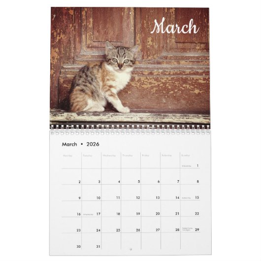 Kittens 2026 Kalender (Mar 2026)