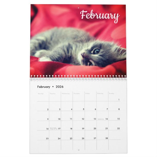 Kittens 2026 Kalender (Feb 2026)