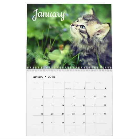 Kittens 2026 Kalender (Jan 2026)