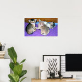 Kittens 3 weken oud Abyssijnen Poster (Thuiskantoor)