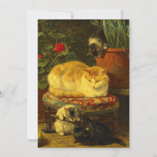 Kittens aan het Spelen Kaart